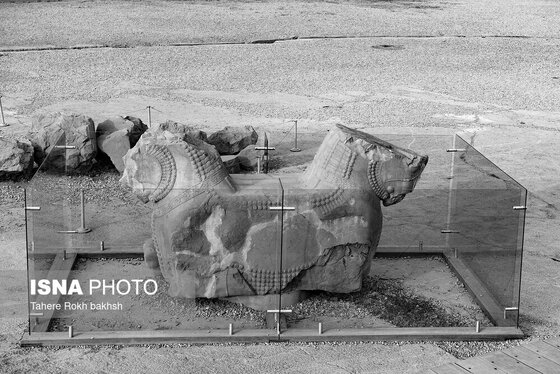 عکس‌های سیاه سفید از تخت جمشید