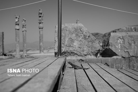 عکس‌های سیاه سفید از تخت جمشید
