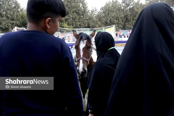 گزارش تصویری | دومین روز نمایشگاه و جشنواره خانواده ورزش در بوستان ملت مشهد