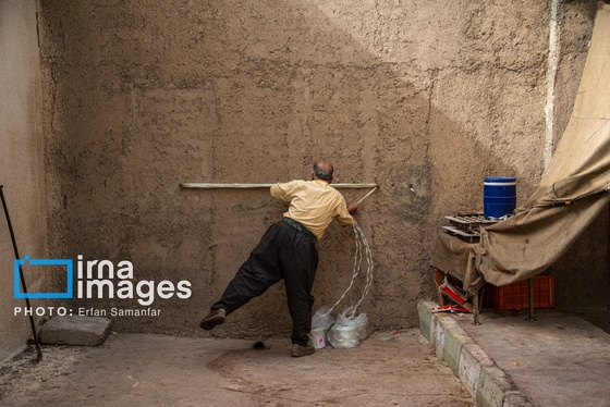 گزارش تصویری | برداشت انگور در شهر تاکستان قزوین