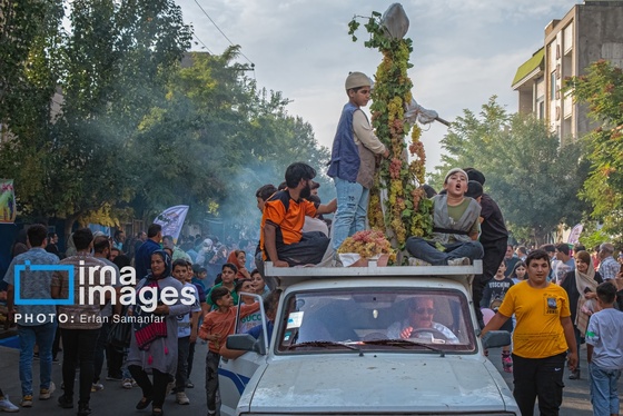 گزارش تصویری | برداشت انگور در شهر تاکستان قزوین