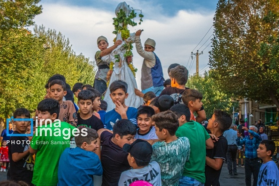 گزارش تصویری | برداشت انگور در شهر تاکستان قزوین