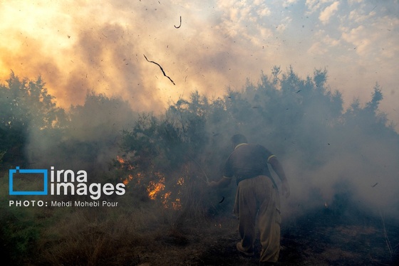 گزارش تصویری | آتش سوزی در «تالاب میانکاله»