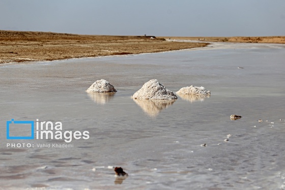 گزارش تصویری | برداشت نمک در دل کویر