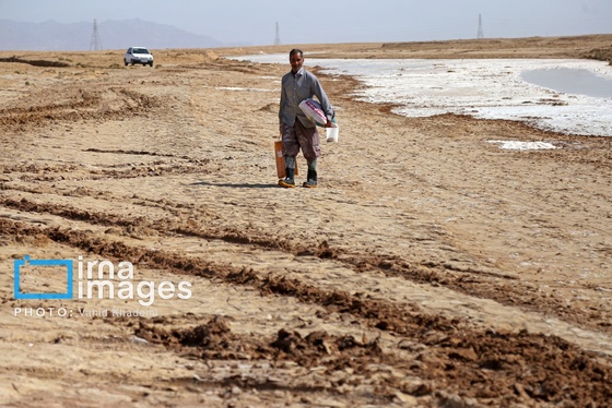 گزارش تصویری | برداشت نمک در دل کویر