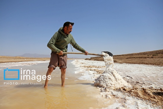 گزارش تصویری | برداشت نمک در دل کویر