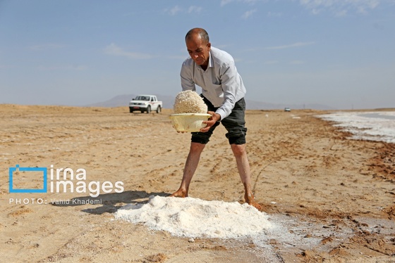 گزارش تصویری | برداشت نمک در دل کویر