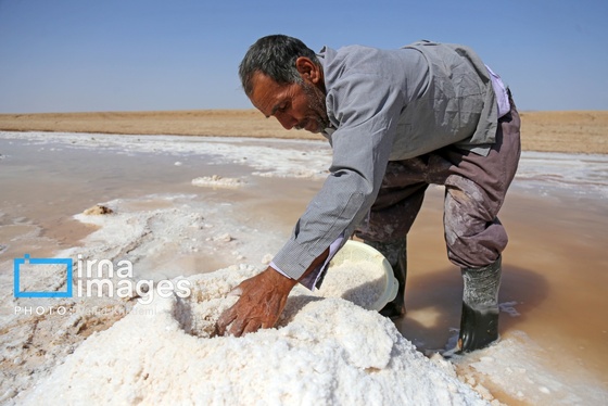گزارش تصویری | برداشت نمک در دل کویر