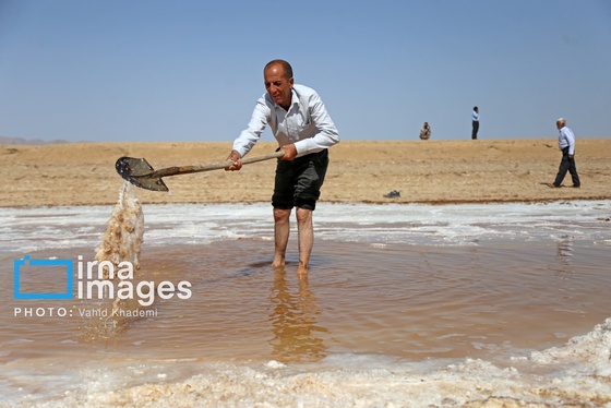 گزارش تصویری | برداشت نمک در دل کویر