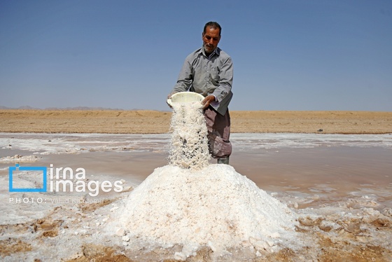 گزارش تصویری | برداشت نمک در دل کویر