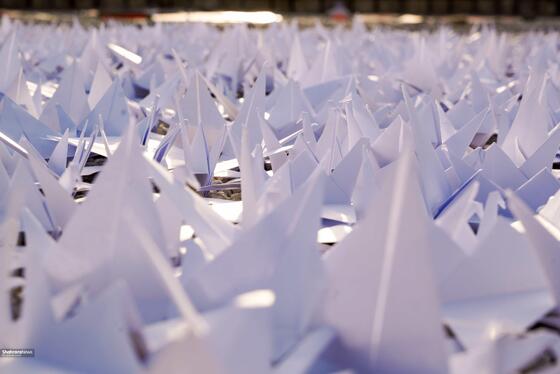 چیدمان چهار هزار درنای کاغذی در حمایت از کودکان غزه