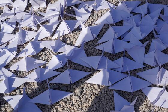 چیدمان چهار هزار درنای کاغذی در حمایت از کودکان غزه