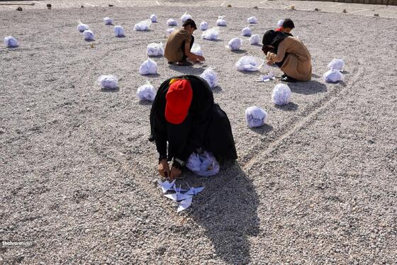 چیدمان چهار هزار درنای کاغذی در حمایت از کودکان غزه