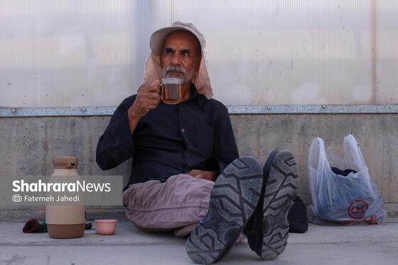 گزارش تصویری | گلخانه توت فرنگی