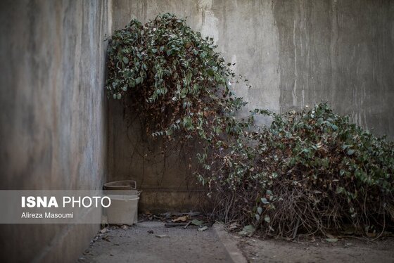 گزارش تصویری | دفتر کار احمد محمود در نارمک تهران