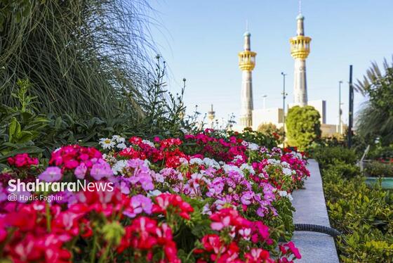 گزارش تصویری | پاییز بهاری مشهد