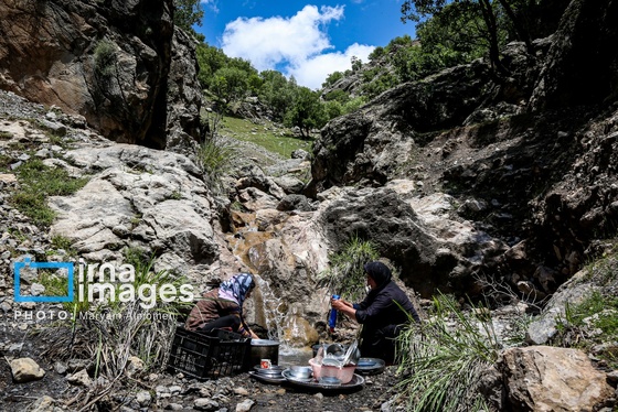 گزارش تصویری | «زندگی عشایری»
