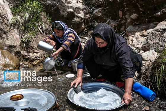 گزارش تصویری | «زندگی عشایری»
