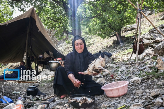 گزارش تصویری | «زندگی عشایری»