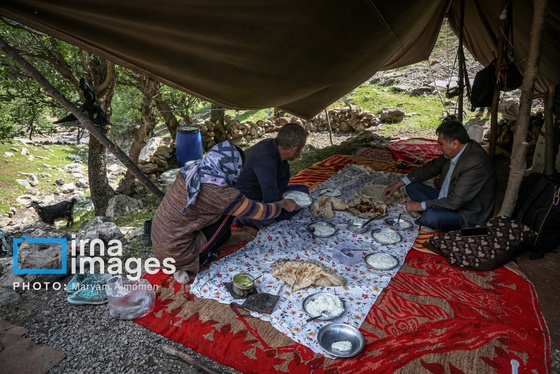 گزارش تصویری | «زندگی عشایری»