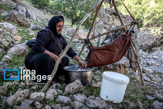 گزارش تصویری | «زندگی عشایری»