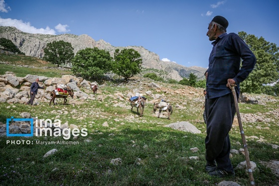 گزارش تصویری | «زندگی عشایری»