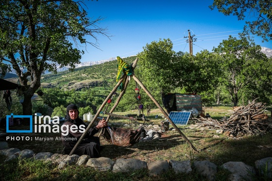 گزارش تصویری | «زندگی عشایری»