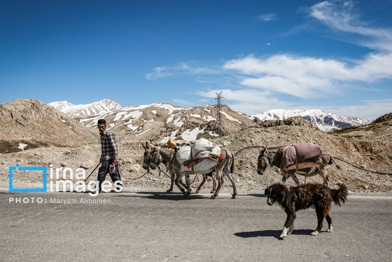 گزارش تصویری | «زندگی عشایری»