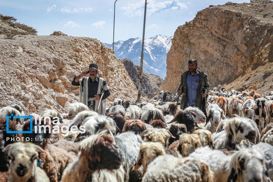 گزارش تصویری | «زندگی عشایری»