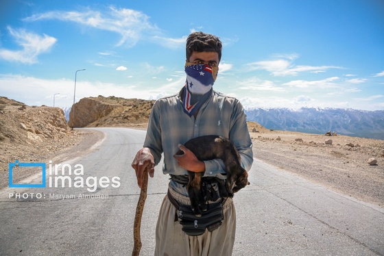 گزارش تصویری | «زندگی عشایری»