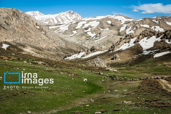 گزارش تصویری | «زندگی عشایری»