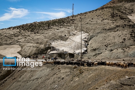گزارش تصویری | «زندگی عشایری»
