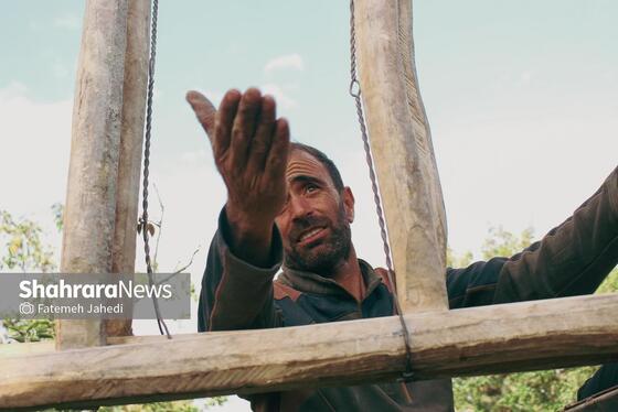 گزارش تصویری | برداشت گلابی از باغات چناران