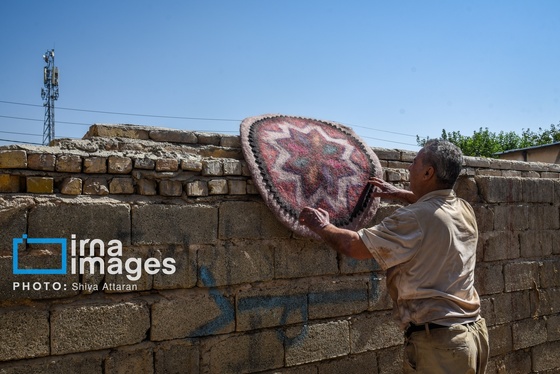 گزارش تصویری | مشاغل فراموش‌شده؛ «نمدمالی»
