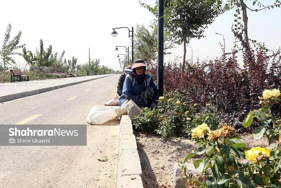 گزارش تصویری | بازدید خبرنگاران از پروژه‌های فضای سبز دردست‌ساخت معاونت خدمات شهری