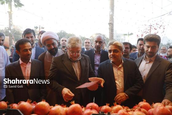 گزارش تصویری | افتتاح چهارمین جشنواره طعم و رنگ پاییز در باغ گیاه شناسی مشهد