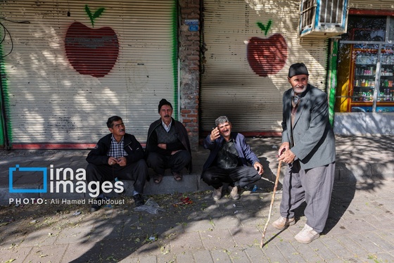گزارش تصویری | دوازدهمین جشنواره سیب مراغه