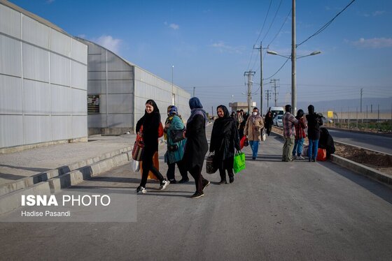 گزارش تصویری | تولید برای محرومیت زدایی؛ گلخانه توت‌فرنگی چناران