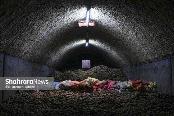 گزارش تصویری | برداشت سیب زمینی از مزارع کشاورزی فیروزکوه