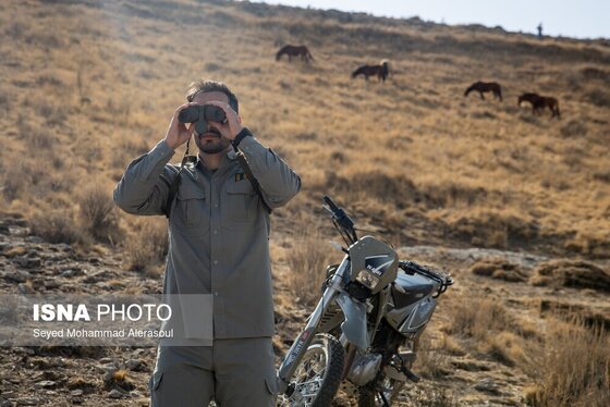 گزارش تصویری | محیط‌بانان پارک ملی تندوره
