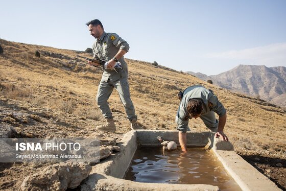 گزارش تصویری | محیط‌بانان پارک ملی تندوره