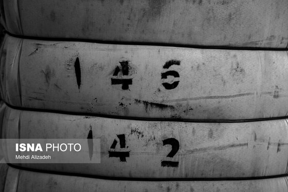 گزارش تصویری | برداشت پنبه در خراسان شمالی
