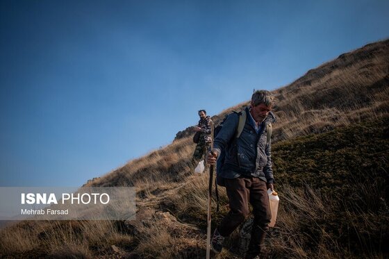 گزارش تصویری | عملیات مهار آتش‌سوزی مناطق کوهستانی روستاهای دلیر و الیت