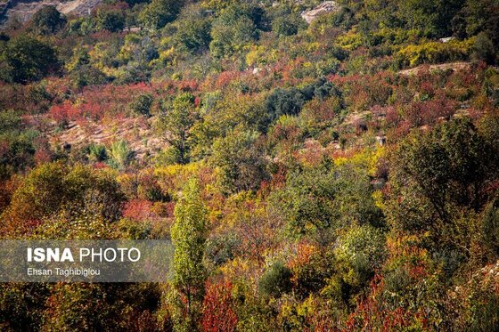 ایران زیباست | پاییزِ هزاررنگ در روستای شیت - طارم