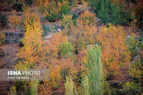 ایران زیباست | پاییزِ هزاررنگ در روستای شیت - طارم