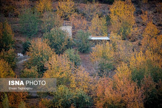 ایران زیباست | پاییزِ هزاررنگ در روستای شیت - طارم