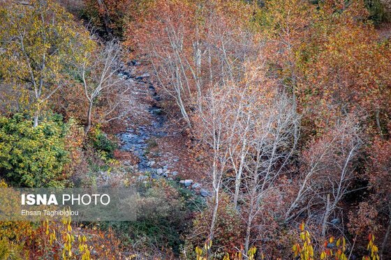 ایران زیباست | پاییزِ هزاررنگ در روستای شیت - طارم