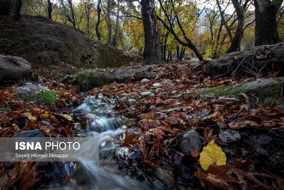 ایران زیباست | رنگ‌های زاگرس؛ پاییز پیرتو