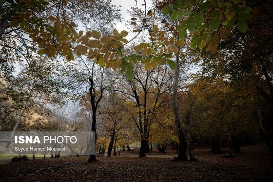 ایران زیباست | رنگ‌های زاگرس؛ پاییز پیرتو