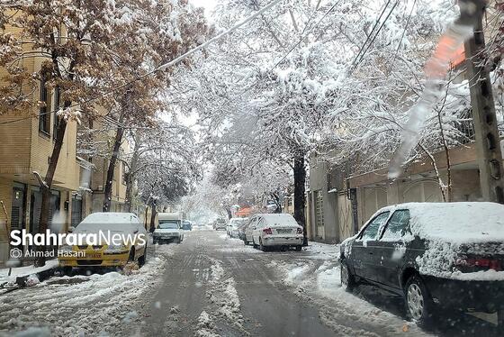گزارش تصویری | شکستگی درختان در مشهد بر اثر بارش برف